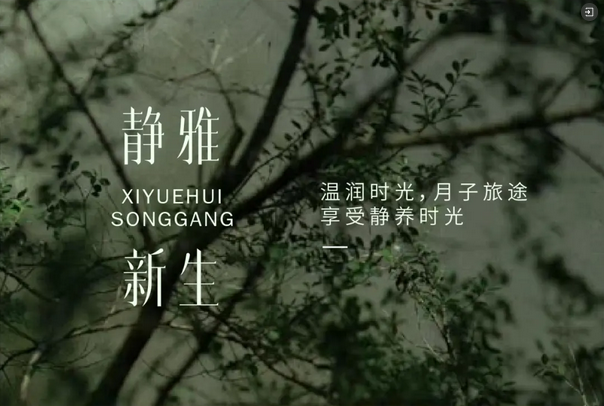 禧月荟深圳松岗_第8家月子中心火热预售5.png