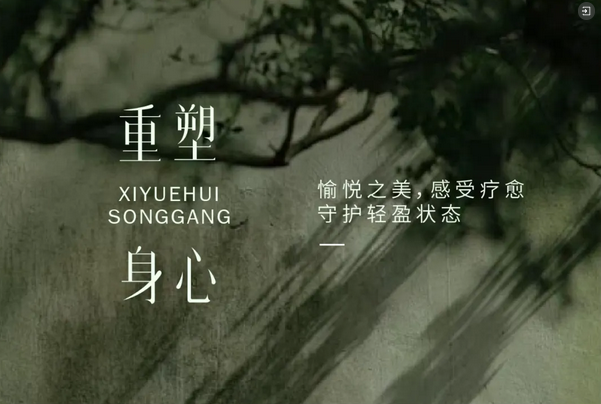 禧月荟深圳松岗_第8家月子中心火热预售9.png