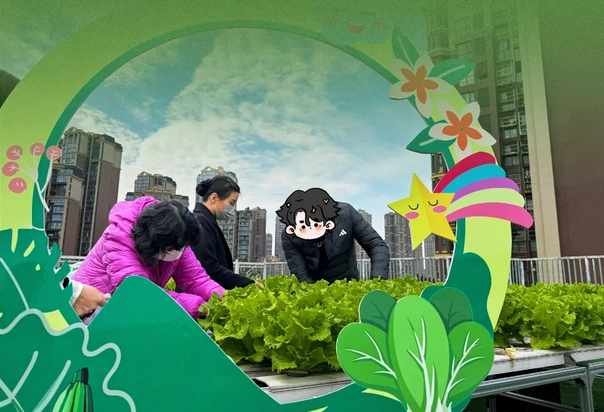 成都月子中心农场主|共享菜地，开启有机坐月子生活2