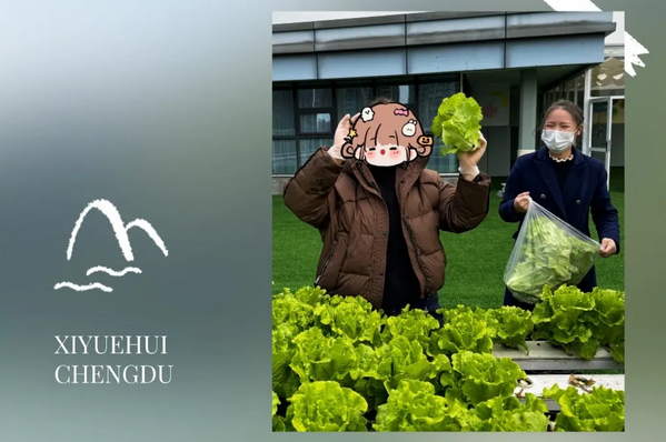 成都月子中心农场主|共享菜地，开启有机坐月子生活3