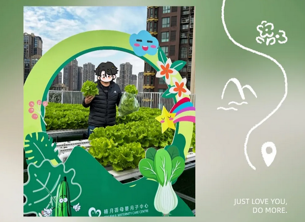 成都月子中心农场主|共享菜地，开启有机坐月子生活4