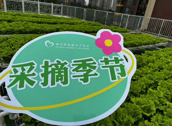 成都月子中心农场主|共享菜地，开启有机坐月子生活